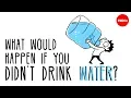 Lagu What would happen if you didn’t drink water? - Mia Nacamulli
