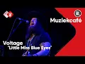 Download Lagu Voltage - Little Miss Blue Eyes | NPO Radio 2