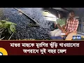 মাগুর মাছকে মুরগির নাড়িভুড়ি খাওয়ানোর অপরাধে দুই বছর জেল | Vokta Odhikar | Global TV News