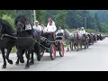 Download Lagu Nuntă cu cai și trăsuri 14 perechi de naşi la Mihai și Ema 17 August 2025 Gura Putnei -Bucovina ep.2