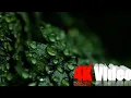 Download Lagu 4K Video with Dolby Atmos Sound Effect | 8D Audio | Rain Video 4K