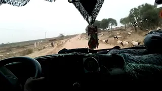 Borana Culture Visit 