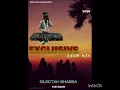 Download Lagu EXCLUSIVE WINE MIX silectah shabba 2025