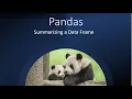 Pandas Summarizing a Data Frame