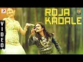 Download Lagu Anegan - Roja Kadale Video | Dhanush | Harris Jayaraj