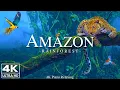 Download Lagu Amazon 4K - Ontspannende muziek met prachtig natuurlijk landschap - geweldige natuur