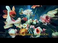 León Larregui - Amén (Lyric Video)