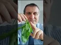 Download Lagu TERE FAYDALARI / TERE ACI MI / TERE AKCİĞER / TERE BESİN DEĞERİ
