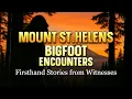 Download Lagu MOUNT ST. HELENS BIGFOOT ENCOUNTERS