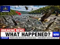 Pennsylvania Brought Bald Eagles Back Then Nobody Could Explain This