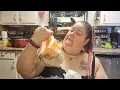 115 Walmart pick-up grocery haul