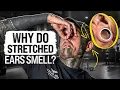 Why Do Stretched Ears Smell UrbanBodyJewlery Com
