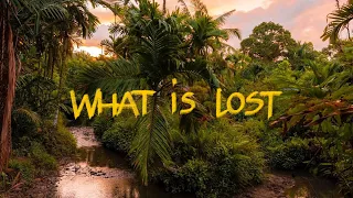 Download What Is Lost | Eco-Travelers Series - Chapter 3 | Blue Banana Studios MP3