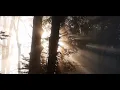 AlanWalker And ISAK - Sorry [BARRBARA music video]