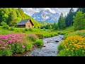 Lagu Soothing, Relaxing Music for Stress, Anxiety \u0026 Depression | Calming Music to Heal Mind, Body \u0026 Soul