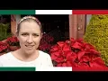 The LUXURIOUS Side of Cuernavaca Morelos