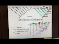 Let s Build a Cladogram