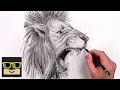 How To Draw a Lion Sketch Tutorial
