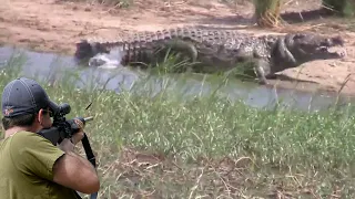 صيد تمساح النيل العظيم بالبنادق 😱🔥👍👌 الجزء 1