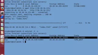 Linux Networking netstat services protocols 4 of 6