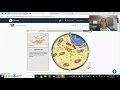 Cell Structure Gizmo Directions