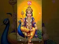 Download Lagu കാർത്തികേയ കാർത്തികേയ പാഹിമാം #hindudevotionalsongsmalayalam #sandhyanamam #murugansongs #devotional