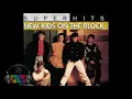 Download Lagu MEGAMIX NEW KIDS ON THE BLOCK