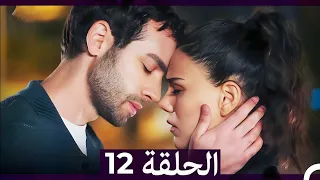 ارض الحب الجميل الحلقة ال 12 Arabic Dubbed 
