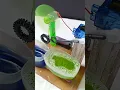 Automate Bubble Blaster Using Arduino