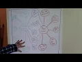 Double Bubble Map Compare Contrast
