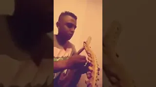 عزف ونغمات السمسمية الجميلة دندنها