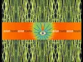 DJ Cheb I Sabbah - Kese Kese!.flv