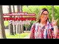 Transfer Playbook 2 Your Guide as an Arkansas State Transfer Student