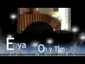 Download Lagu Only Time Enya Panflöte