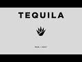 Download Lagu Dan + Shay - Tequila (Icon Video)