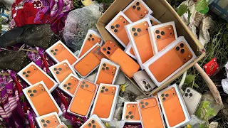 Great Lucky!!😍 i Found a lot of iPhone 17 Pro Max - iPhone 16 Pro Max & More Phone at the landfill