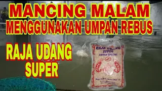 Download Mancing malam menggunakan umpan rebus 🔴 RAJA UDANG SUPER MP3