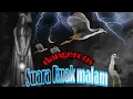 Download Lagu Suara pikat ruak ruak khusus malam paling Ampuh