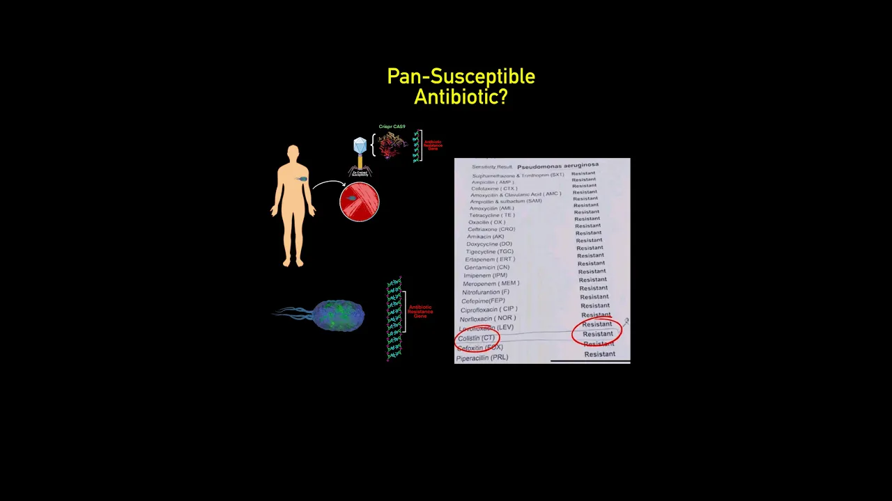 Is this a Pan-Sensitive Antibiotic?