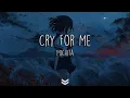 Download Lagu Michita - Cry for me // ft.愛海 ( Lyrics Video )