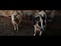 Cor.ece feat. Dave Giles II - Possibly Impossible  [Official Music Video Teaser]