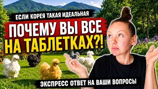 Эмоционально отвечаю на провокационные вопросы)) KOREA VLOG