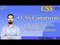 How to Write CSS Comments How to use CSS Comments CSS Comments Hindi