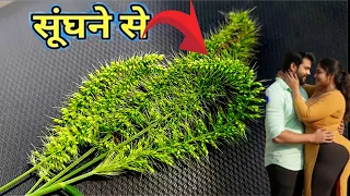 कमजोर नसों मे जान फूंक देगा ये चीज़,बस लगाते हि होगा असर इतना तेज है यह आयुर्वेदिक औषधि जड़ी बूटी