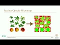 Succinct Opacity Micromaps