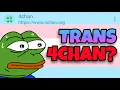 Why Do Trans People Use 4Chan