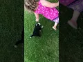 Bebe