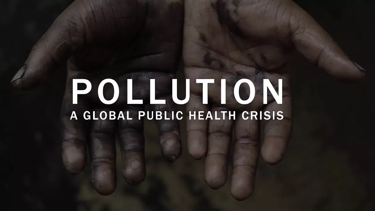 Outline Video Pollution: a global public health crisis