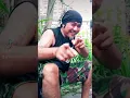 Download Lagu PATI GREPE BAGUS WIRATA - LIPSING TIKTOK