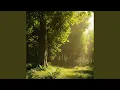 Download Lagu An Hour Made of Rain and Light